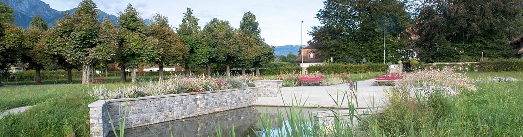 Bächler + Güttinger AG_Bonstettenpark_2023_Teiche und Wasserspiele_Mauern und Böschungen_Parks und Grünanlage_Bepflanzungen Bächler + Güttinger AG_Bonstettenpark_2023_Teiche und Wasserspiele_Mauern und Böschungen_Parks und Grünanlage_Bepflanzungen