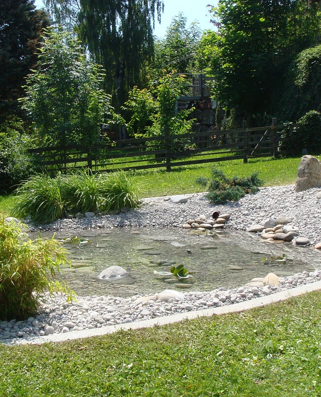 Egger AG und Roman Berger AG_Teich Biotop_2023_Teiche und Wasserspiele_Bepflanzung_04 Egger AG und Roman Berger AG_Teich Biotop_2023_Teiche und Wasserspiele_Bepflanzung_04